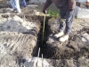 10229-trenched-footings-huntington-woods-4