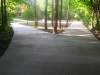 10138-new-long-winding-driveway-farmington-11