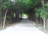 10138-new-long-winding-driveway-farmington-13