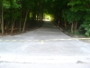 10138-new-long-winding-driveway-farmington-2