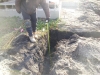10229-trenched-footings-huntington-woods-5